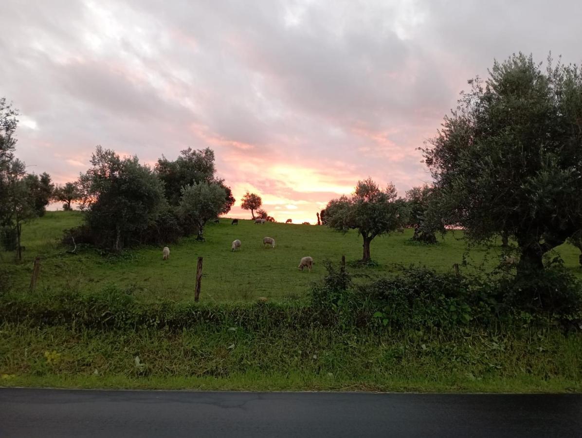 Retiro Da Cegonha Villa Crato Eksteriør billede